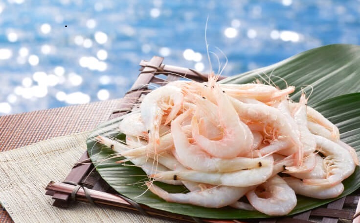 富山の白えびバーガーを知っていますか？