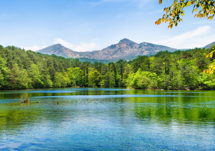 福島で飲食店を開業する方法やメリット・デメリットを解説!