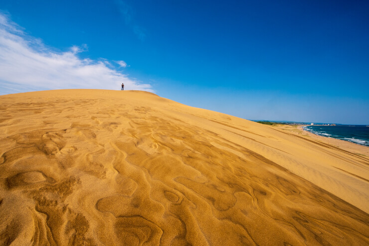 鳥取県で飲食店を開業する方法やメリット・デメリットを解説!